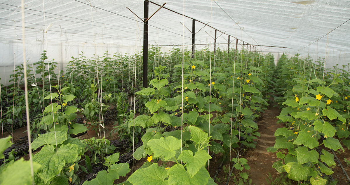 Agro Service Seminar
